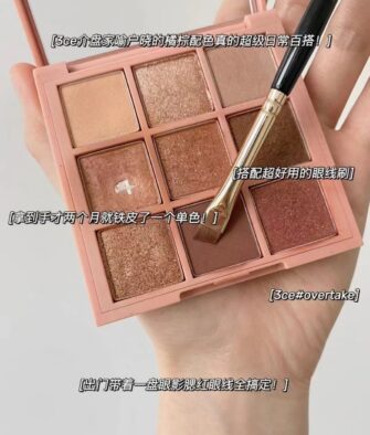 Viral Korean 3CE 9-Color Eyeshadow Palette (Shimmer & Matte) – Earth Tones & Pumpkin Shades #Overtake