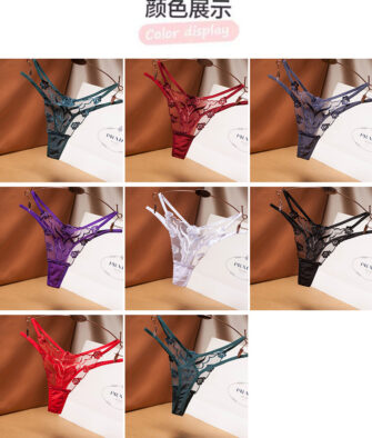 "Endless Night" Sexy Embroidered Mesh Thong – Sheer, Seductive, and Hot (Style 3069)